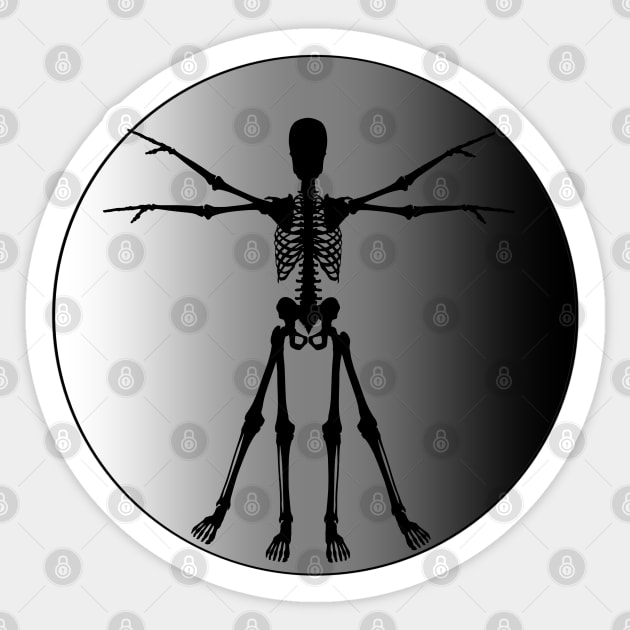 Vitruvian Man Skeleton Sticker by Slightly Unhinged